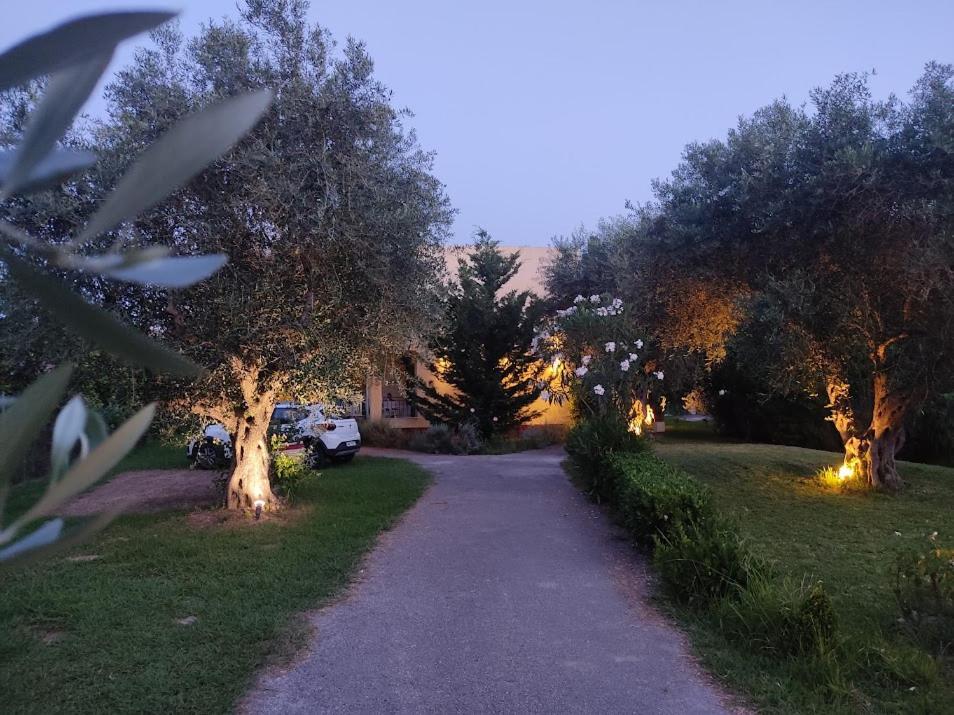Oliveland Apartments Κάβος Εξωτερικό φωτογραφία